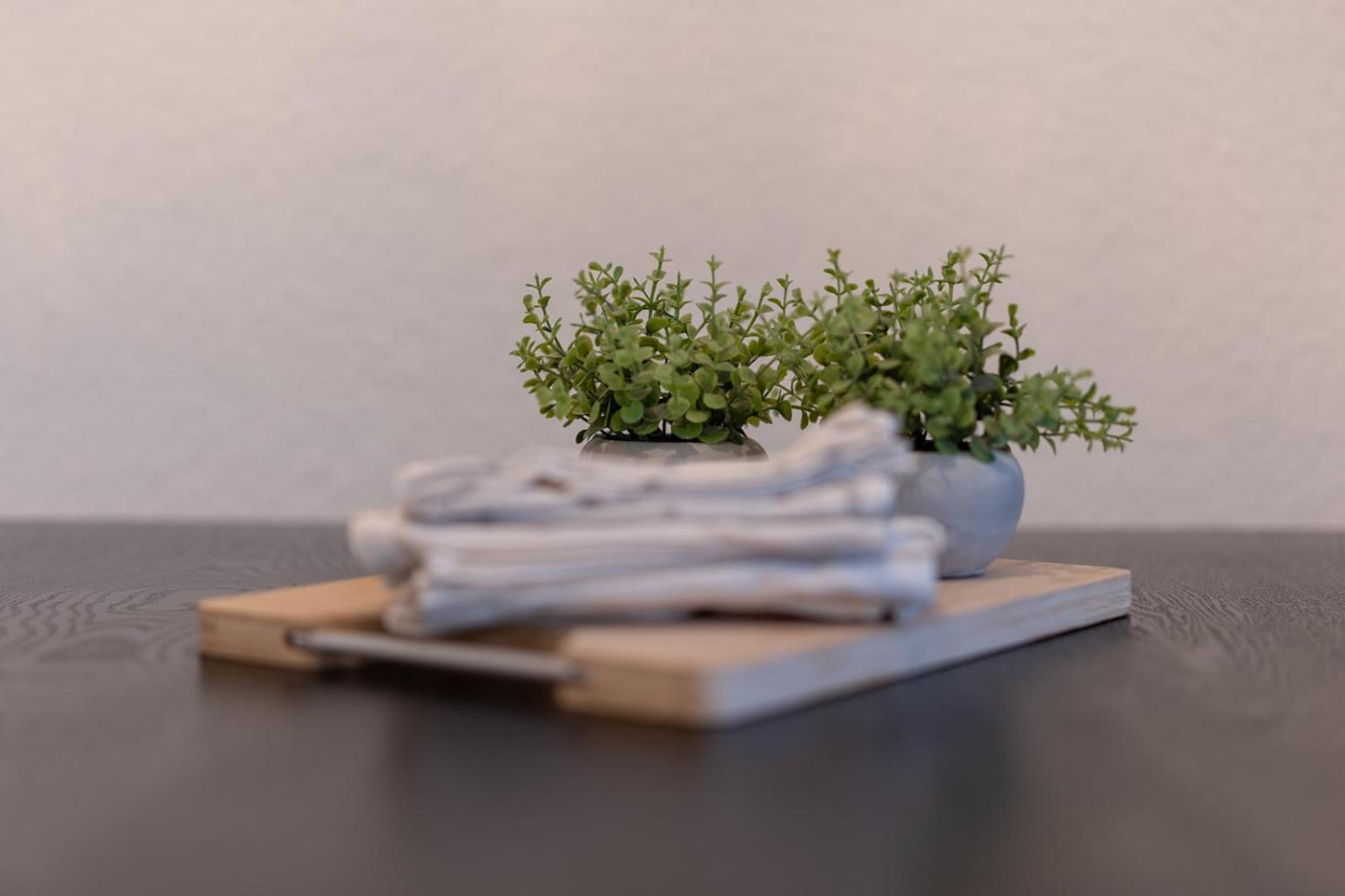 Apartmenthaus Meißen מראה חיצוני תמונה